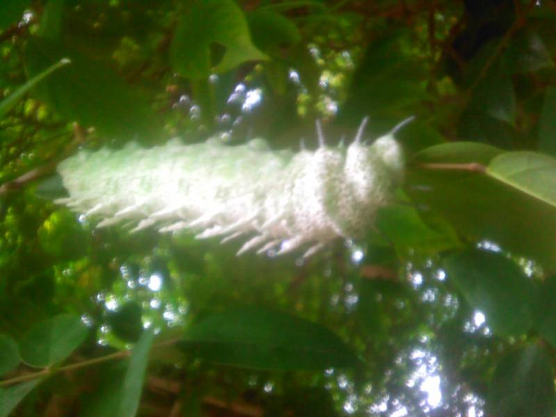 2011-05-29-051.jpg