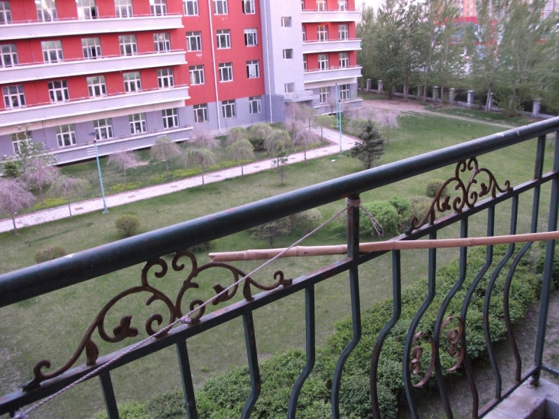 DSCF13531.jpg