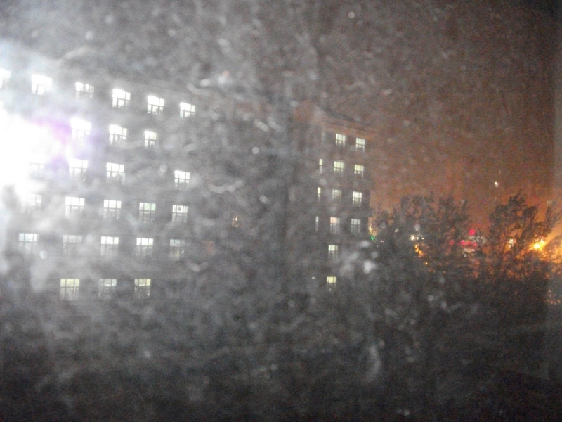 DSCF1336.JPG
