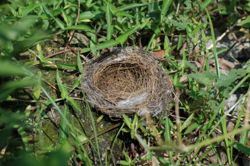 2011-6-1 23-23-30.jpg