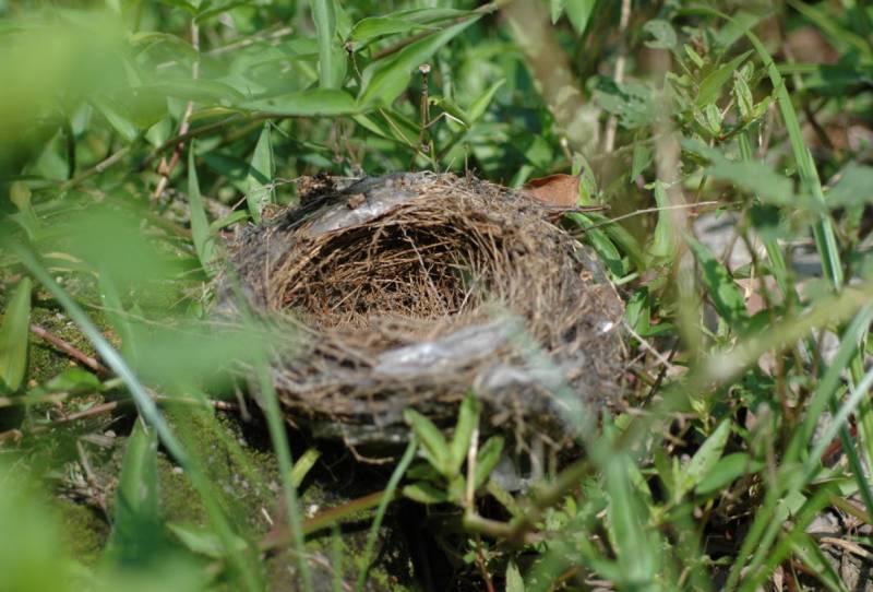 2011-6-1 23-24-06.jpg