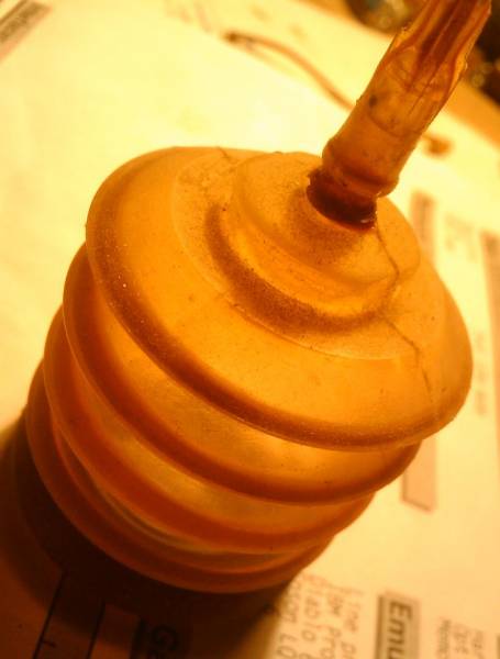 IMAG0177.jpg