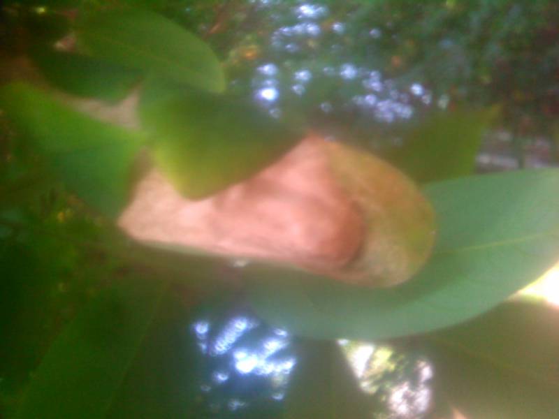 2011-06-03-056.jpg