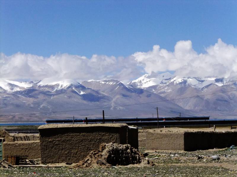 DSCF2501.jpg
