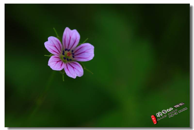 DPP_0030.JPG