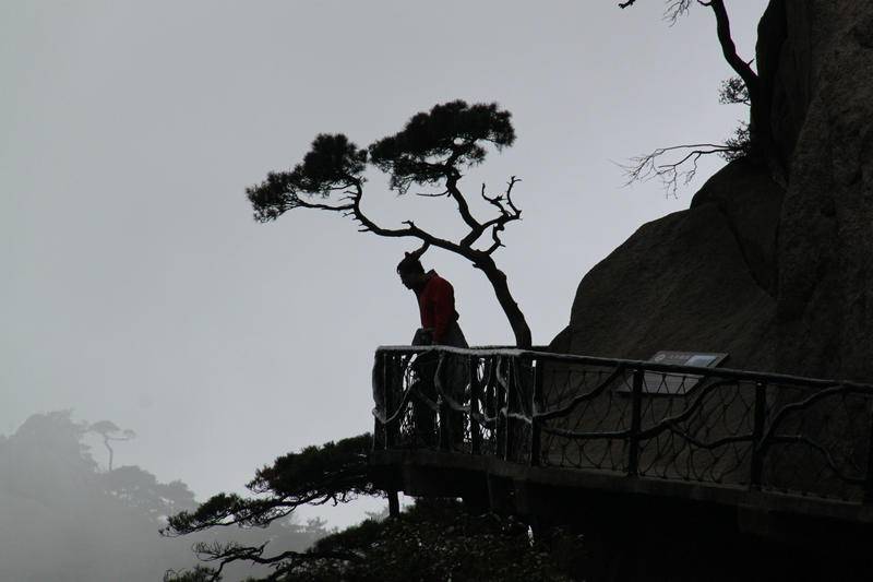 照片 229.jpg