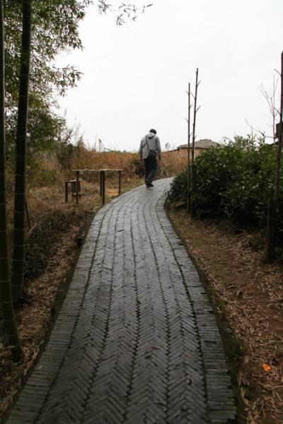 照片 521.jpg