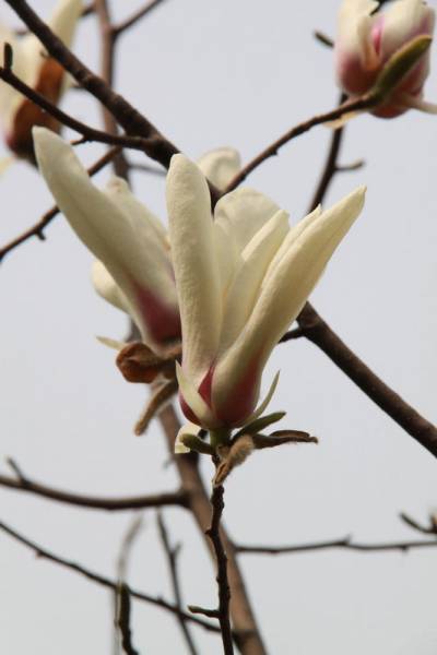 照片 719.jpg