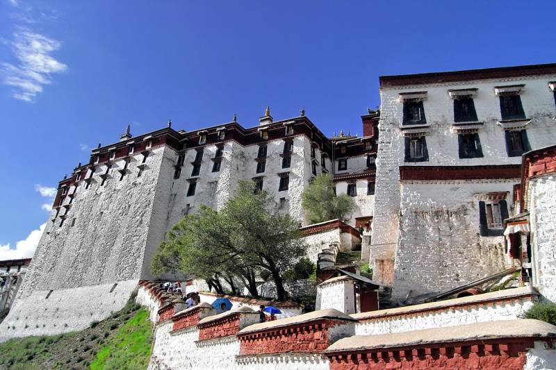 R0010732.JPG