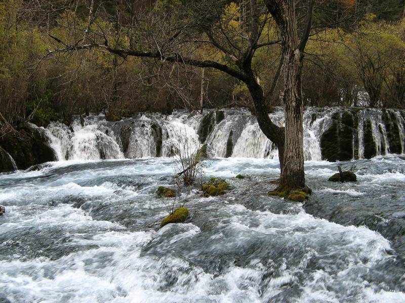 四川西藏游 0092.JPG