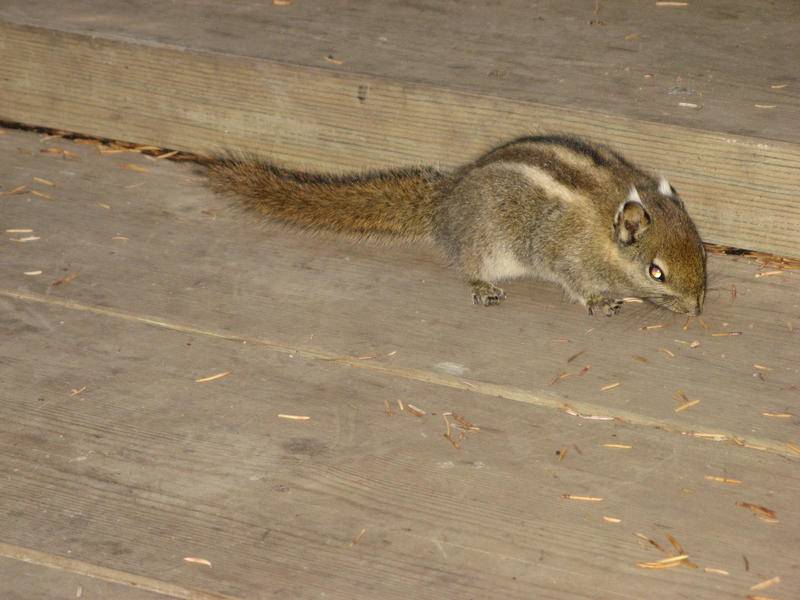 四川西藏游 0238.JPG