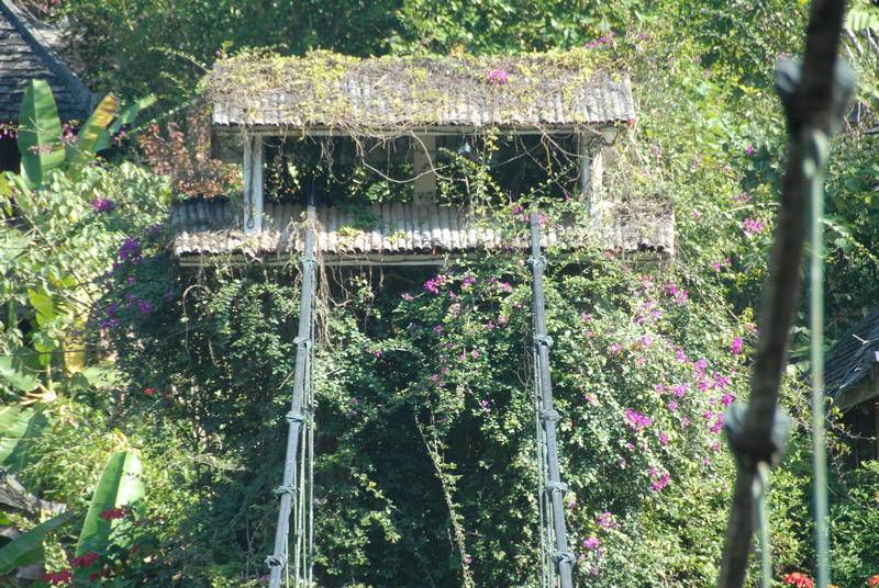 DSC_1708.JPG