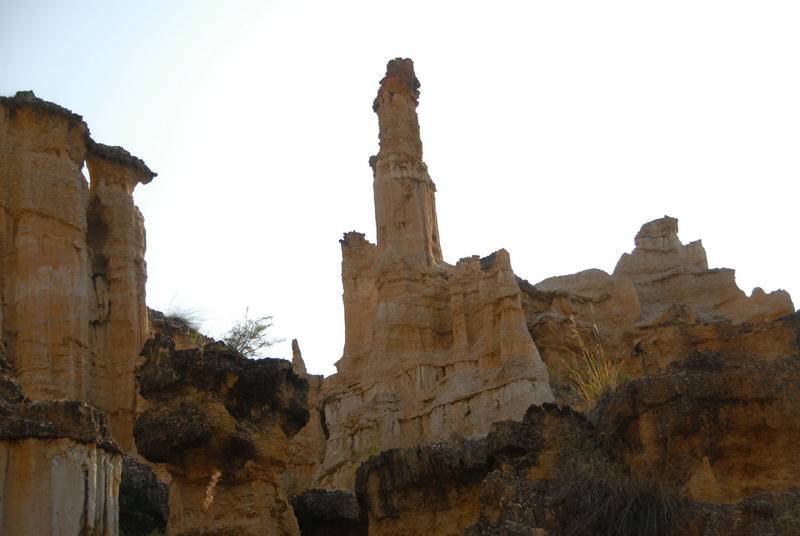 DSC_0019.JPG