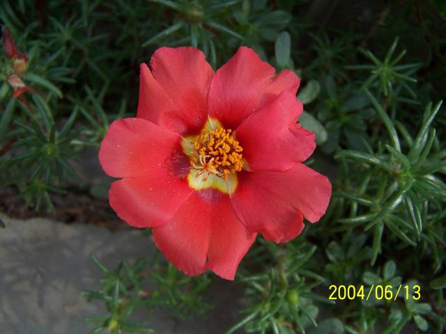 复件 100_0208.JPG