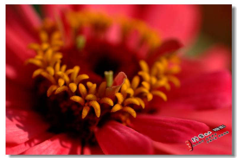 DSC_5289.JPG