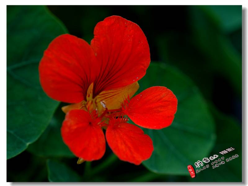 DSC_5263.JPG