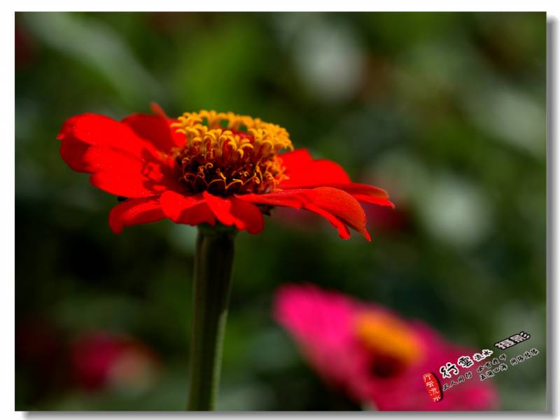 DSC_5291.JPG