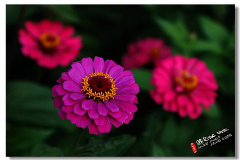 DSC_5310.JPG