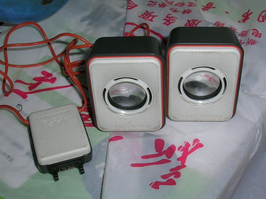 DSCN0275.JPG