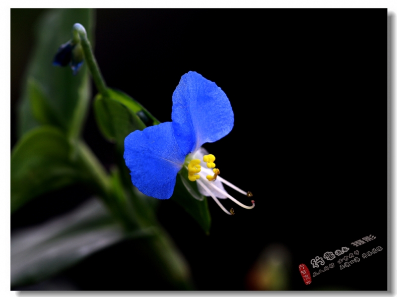 DPP_0048.jpg