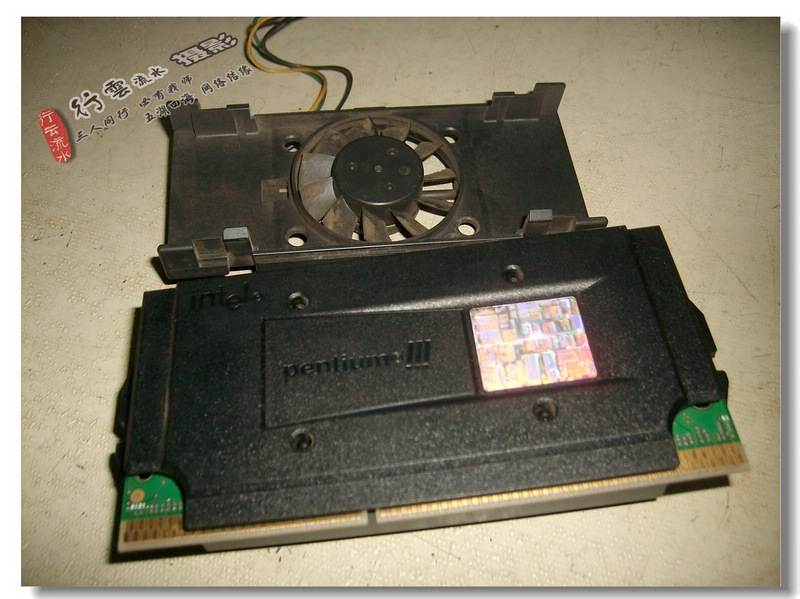 IMG04622.JPG
