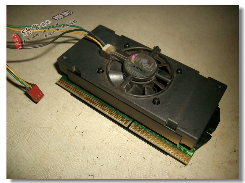 IMG04623.JPG