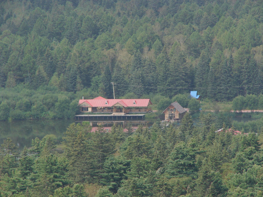 DSC01509.jpg