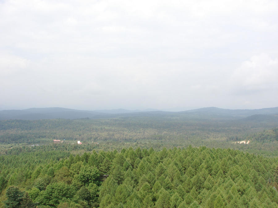 DSC01508.jpg