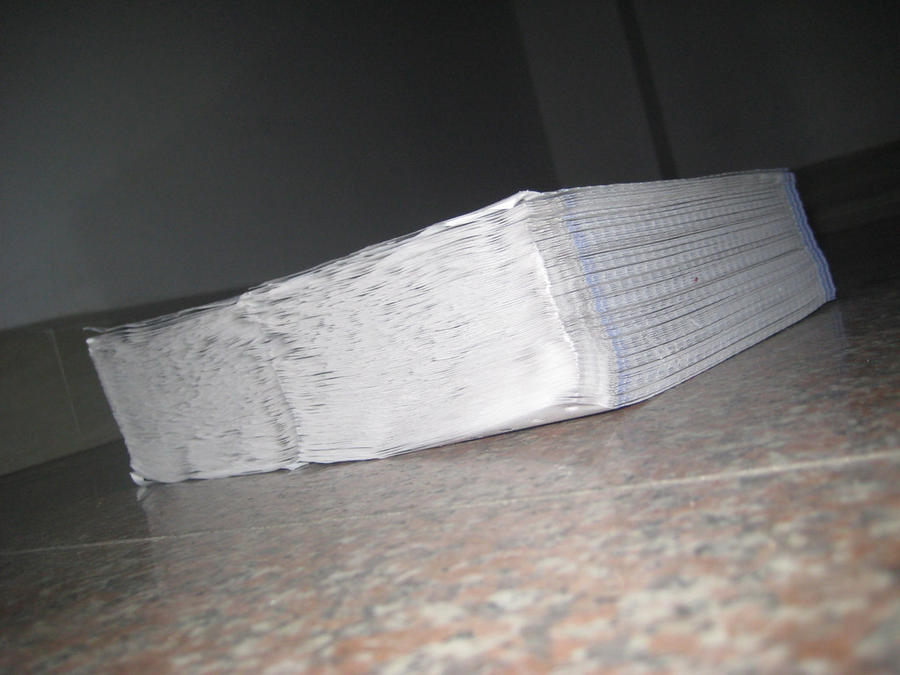 IMG_1679_nEO_IMG.jpg