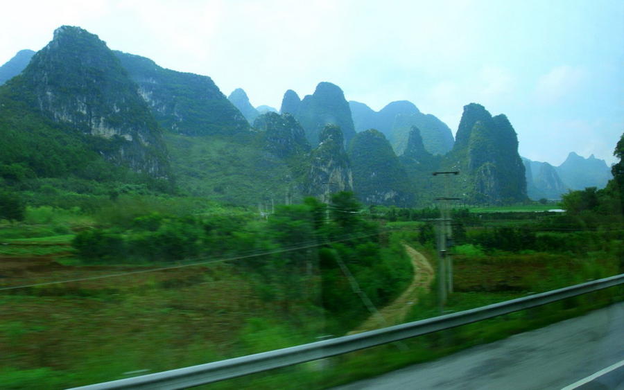 IMG_5220.jpg
