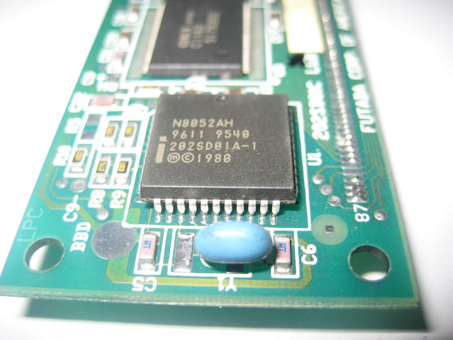 IMG_1555_nEO_IMG.jpg