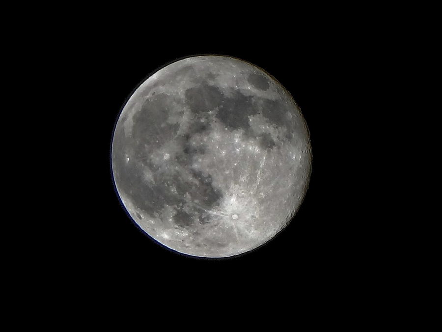 DSC01425.jpg