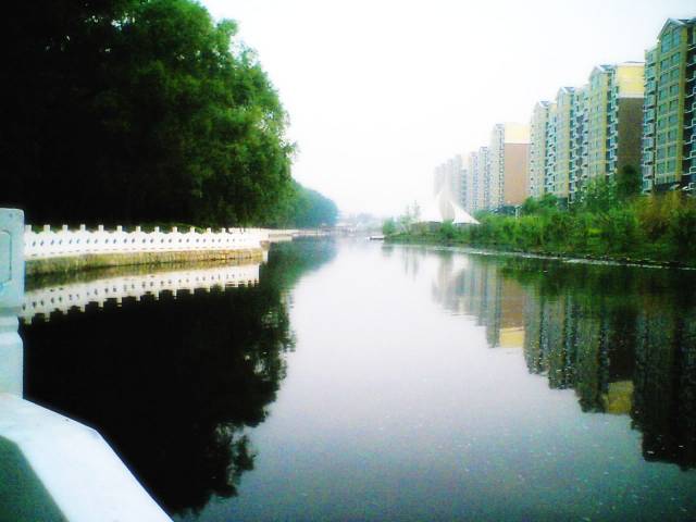 RECO0217.JPG