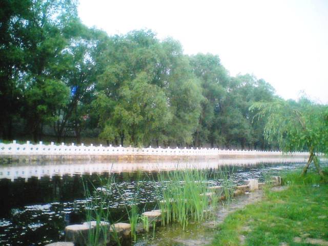 RECO0213.JPG