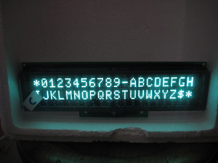 IMG_2054_nEO_IMG.jpg