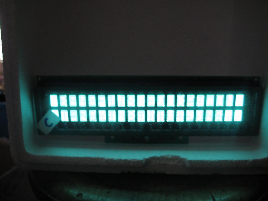 IMG_2055_nEO_IMG.jpg