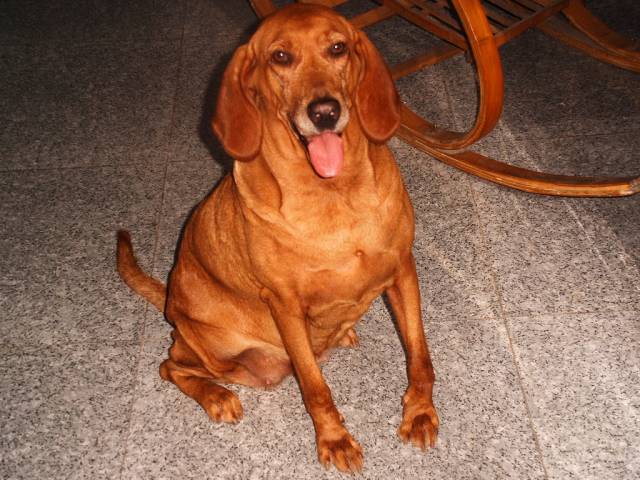 PICT0156.jpg