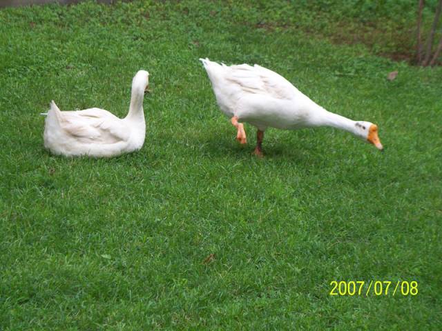 100_3319.jpg