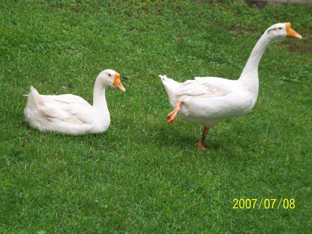 100_3320.jpg