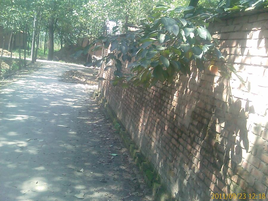 IMAG0154.jpg