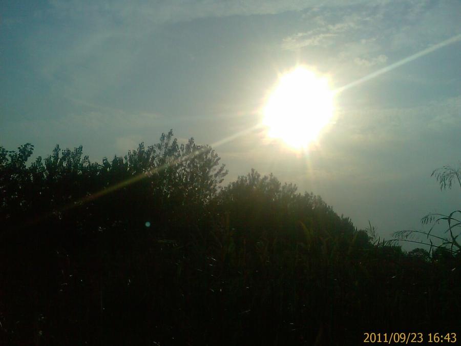 IMAG0159.jpg