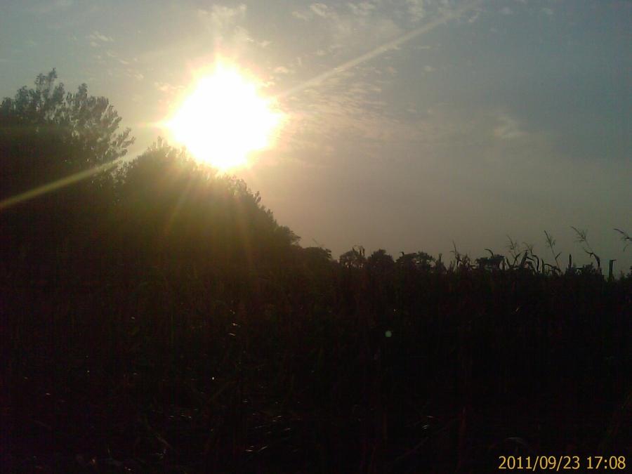 IMAG0161.jpg