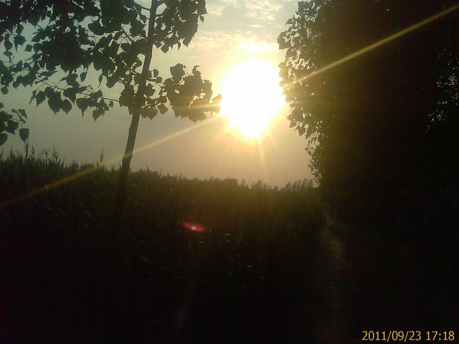 IMAG0164.jpg