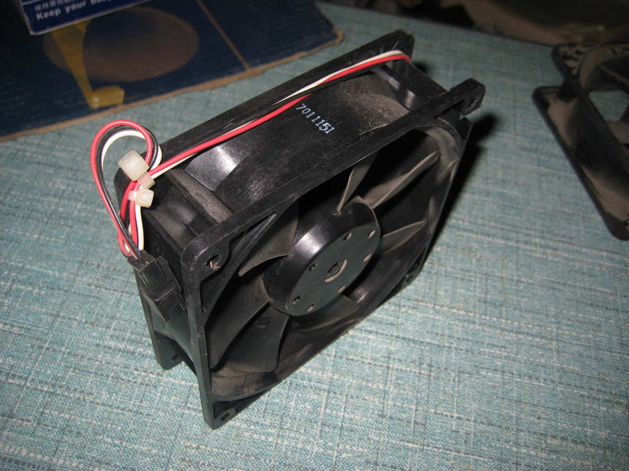 IMG_2345_nEO_IMG.jpg