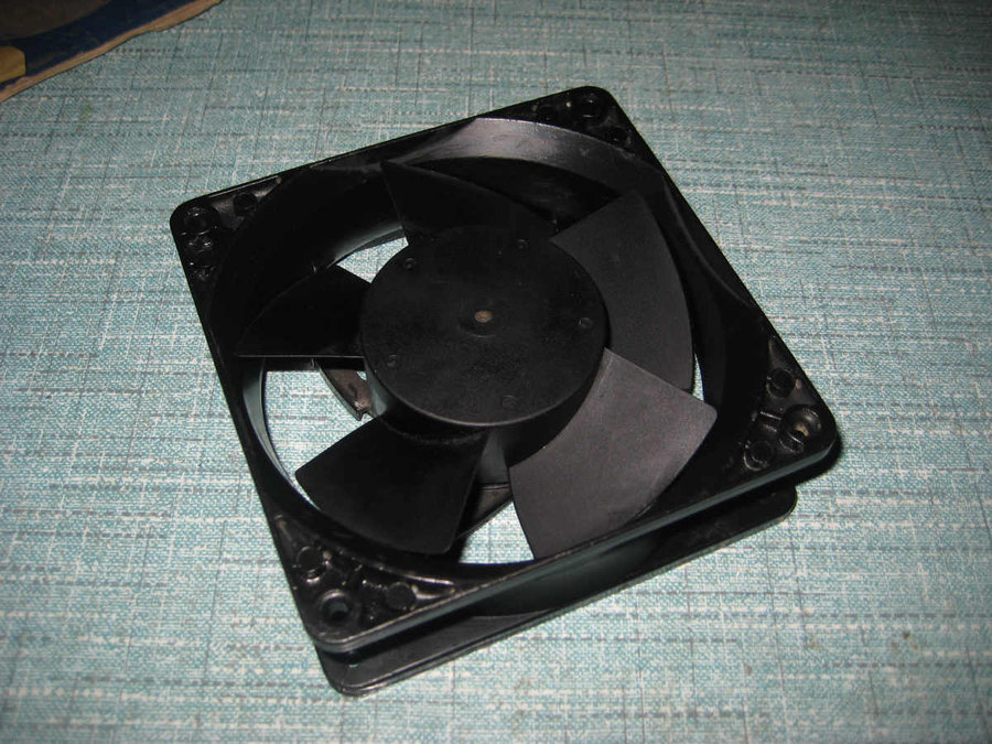 IMG_2351_nEO_IMG.jpg