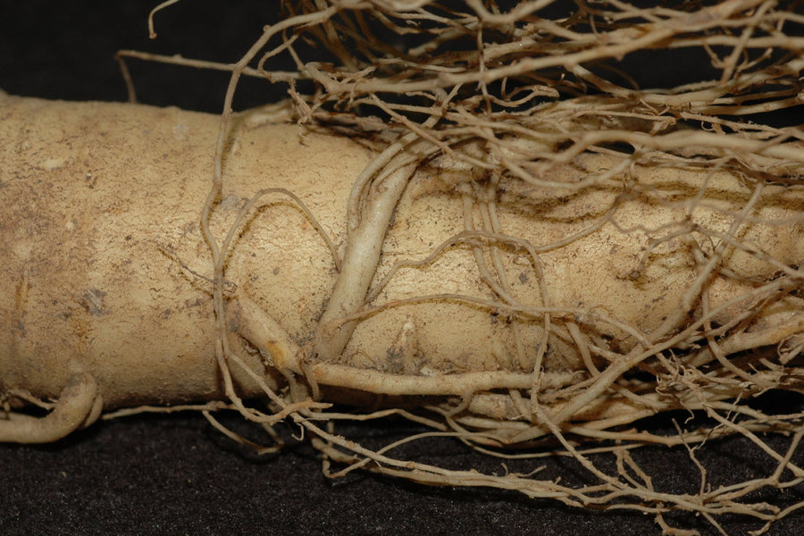 2011-10-3 19-25-33.jpg