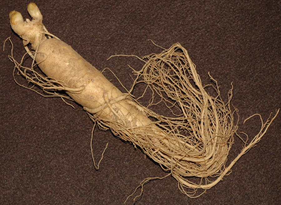 2011-10-3 19-23-07.jpg