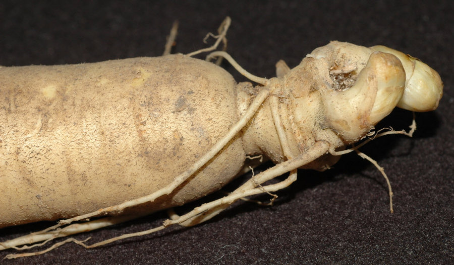 2011-10-3 19-23-54.jpg