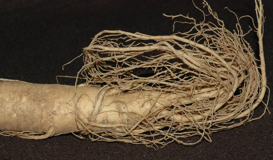 2011-10-3 19-24-09.jpg