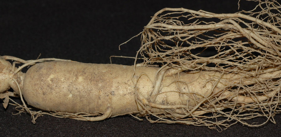 2011-10-3 19-24-24.jpg